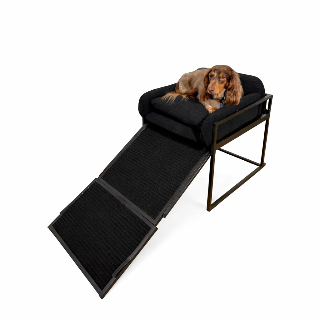 Stepzy Pet Ramp™