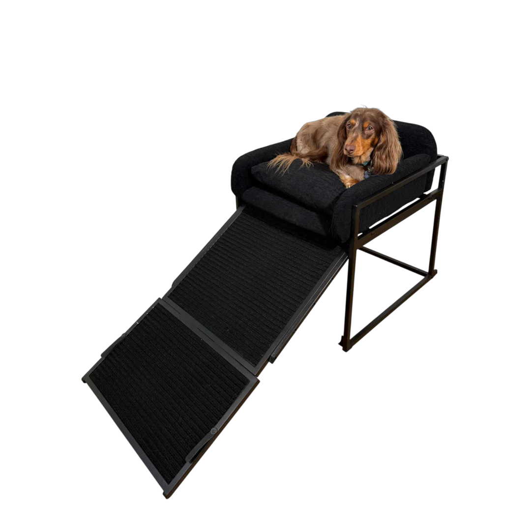 Stepzy Pet Ramp™