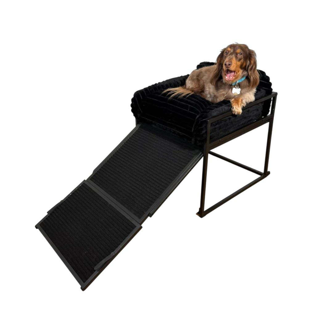 Stepzy Pet Ramp™